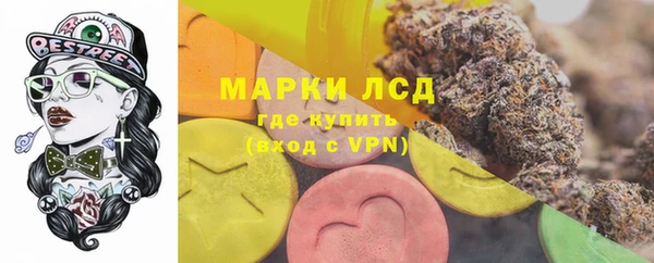 ГАЛЛЮЦИНОГЕННЫЕ ГРИБЫ Балабаново