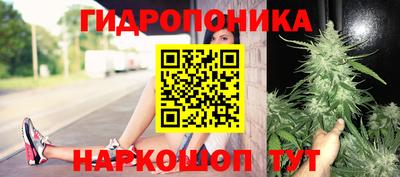 бошки Гатчина
