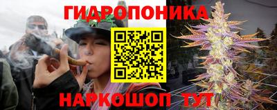 бошки Гатчина