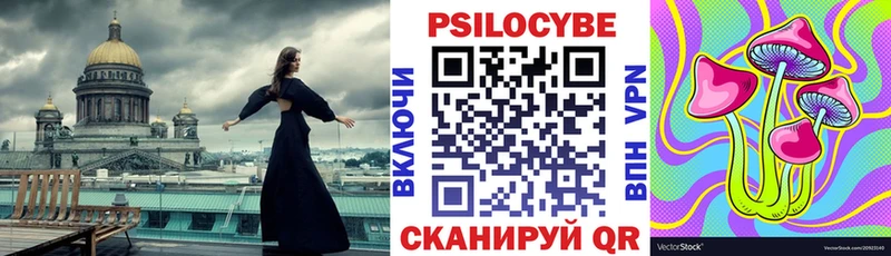 Псилоцибиновые грибы Psilocybine cubensis  Кашира 