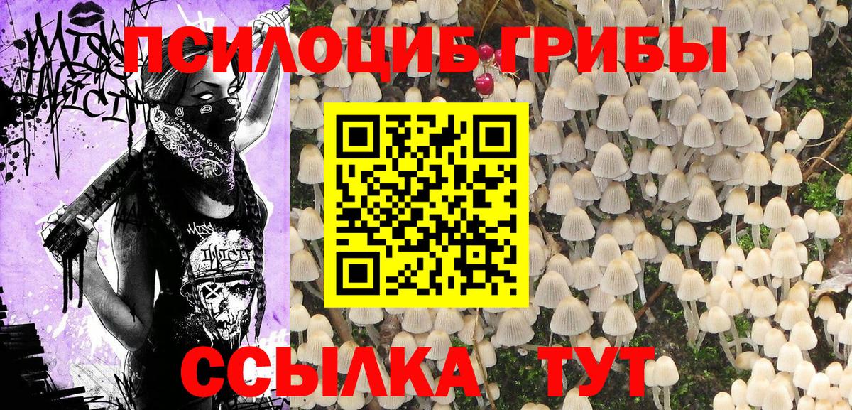 Кашира  Псилоцибиновые грибы Magic Shrooms  Вход с VPN 